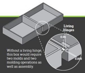 Living hinge